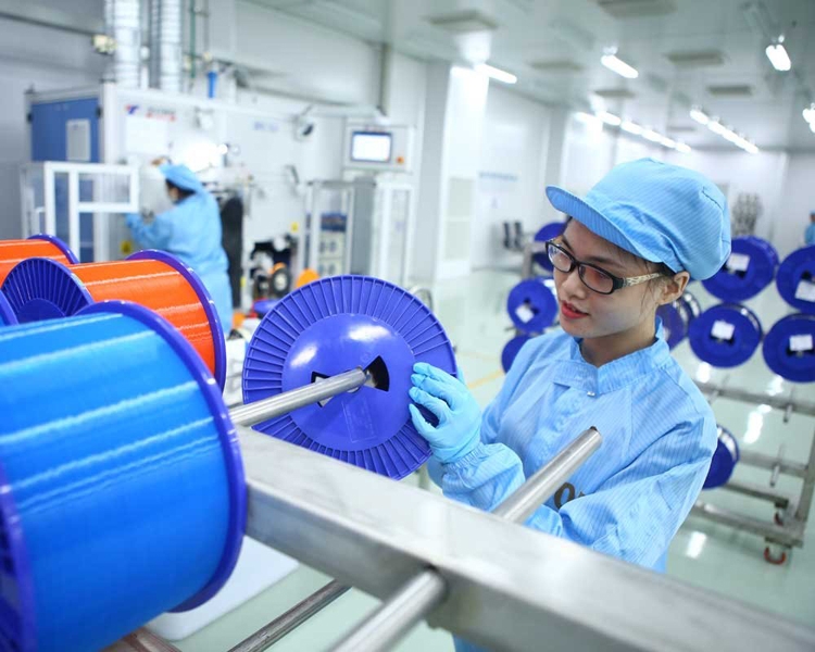 L économie vietnamienne a bien démarré l année 2021
